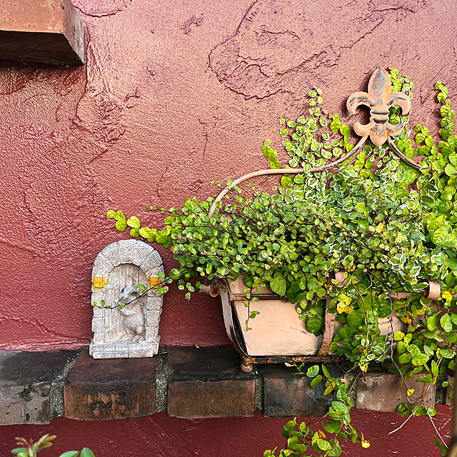 AYUKOさんの部屋