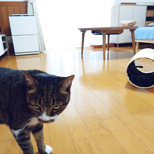 nachiさんの部屋