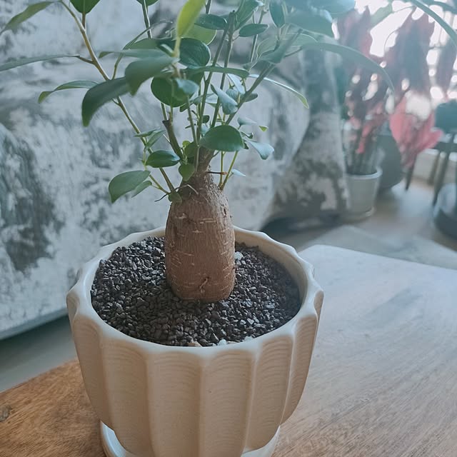 KEIKOさんの部屋