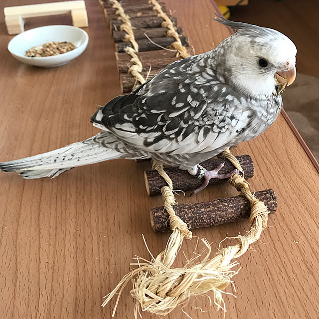 mukuさんの実例写真