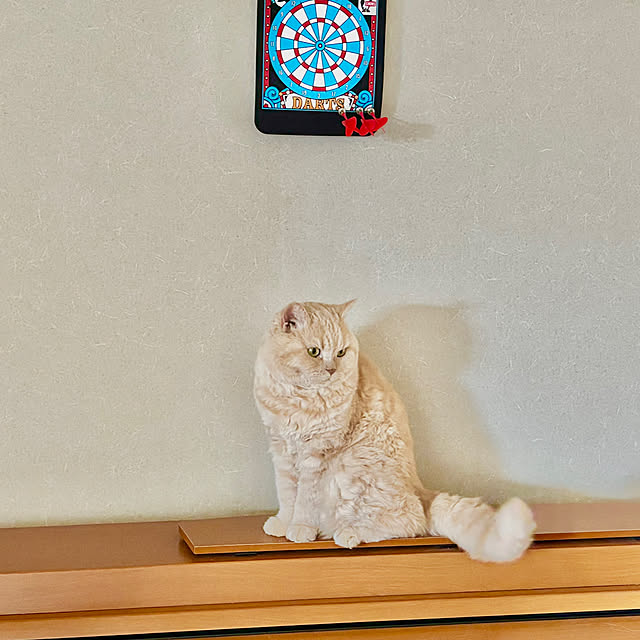 naokoさんの実例写真