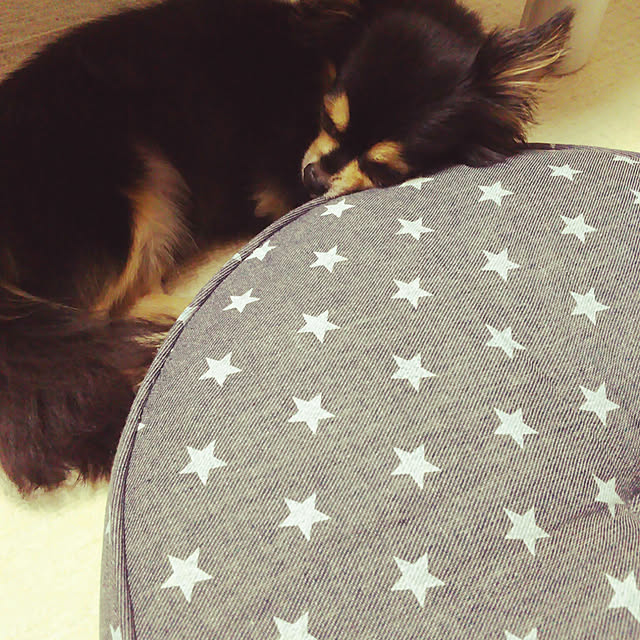 cocoさんの実例写真