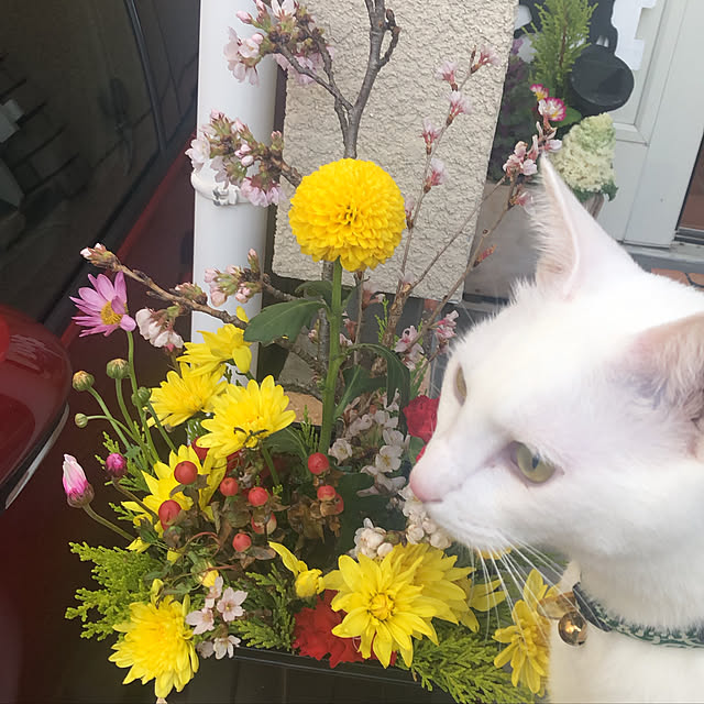 moyuhiさんの実例写真