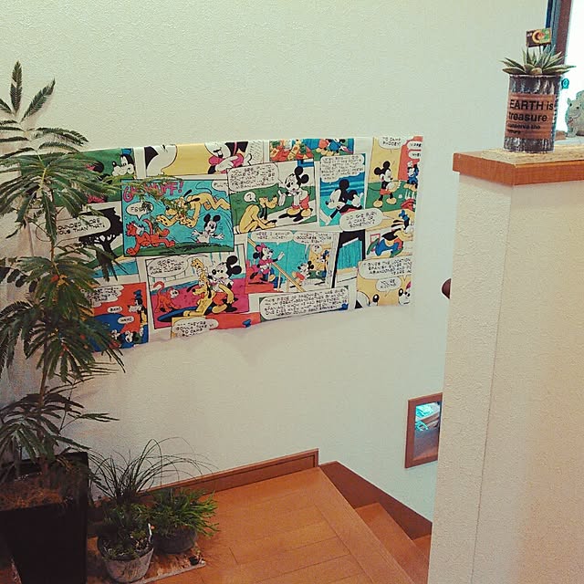 akr29さんの実例写真