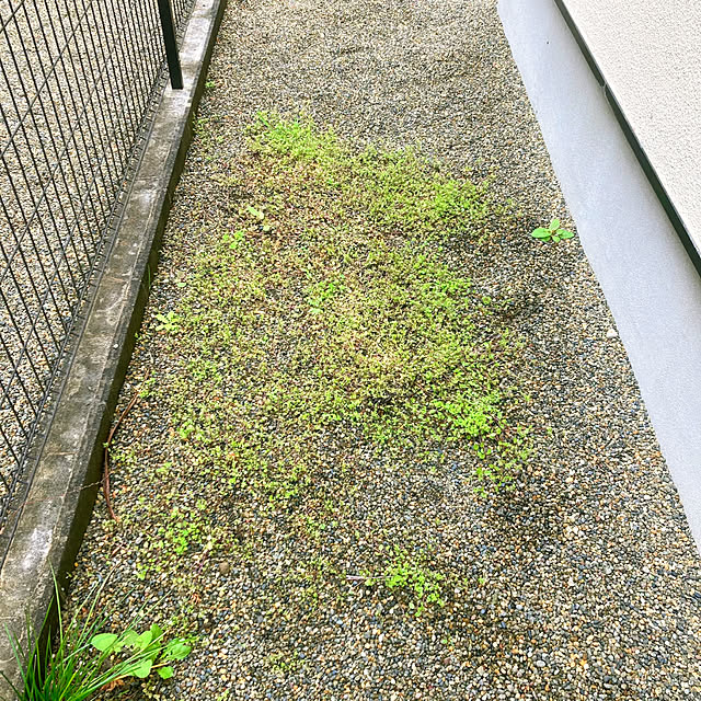 sunabaさんの部屋