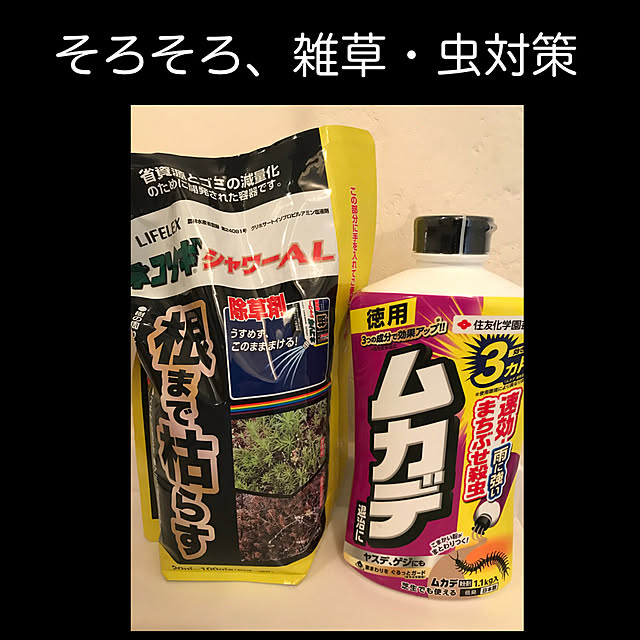 miohouseさんの実例写真