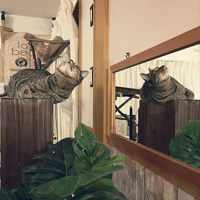 Mさんの実例写真