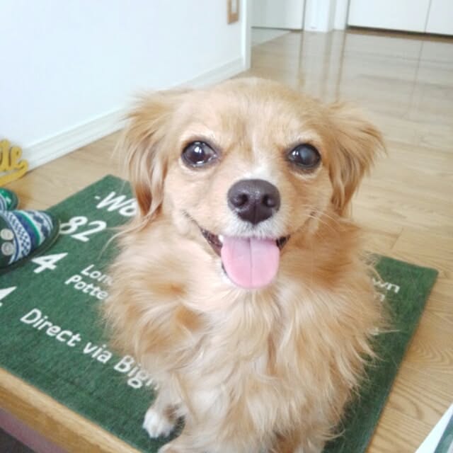 NATTUさんの実例写真