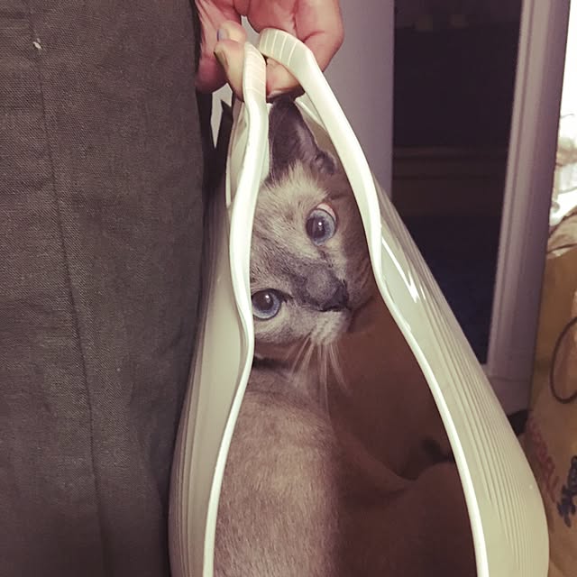 niko-25さんの実例写真