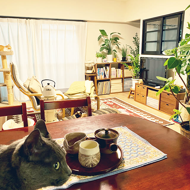 73さんの実例写真
