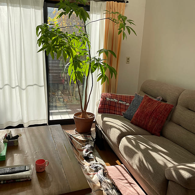 meruさんの実例写真