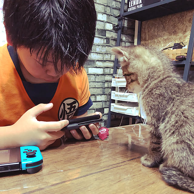 emiさんの実例写真