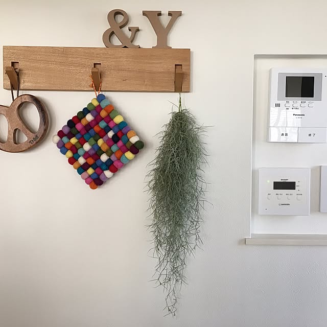 壁/天井/雑貨/観葉植物/北欧/無印良品のインテリア実例 - 2017-07-01 21:43:04