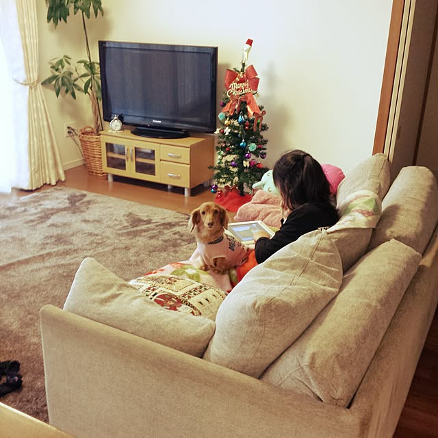 sumireさんの実例写真