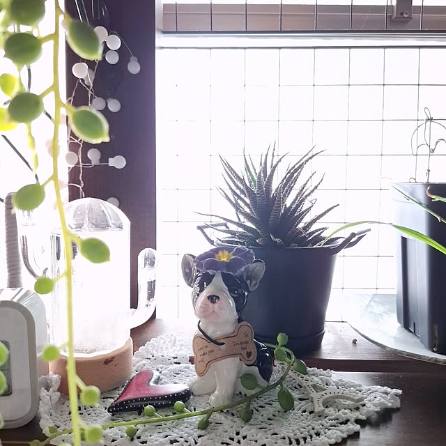 noaさんの実例写真