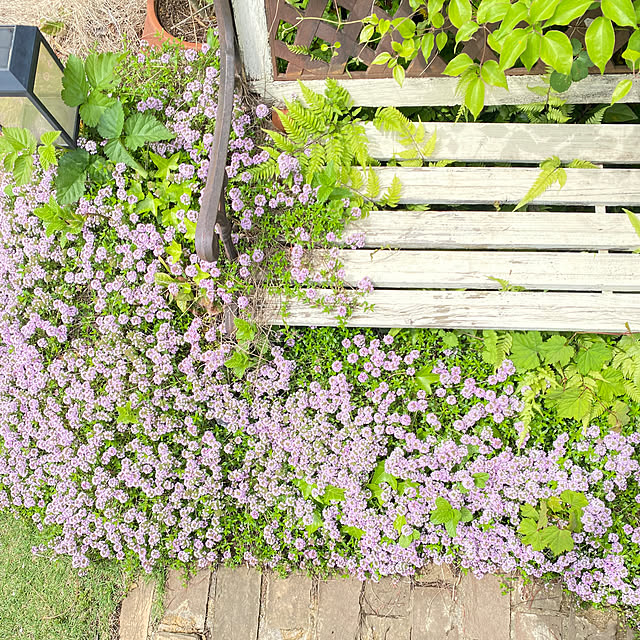 mintteaさんの部屋