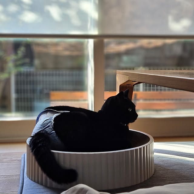 koyurizuさんの実例写真
