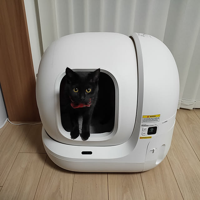 sakuraさんの実例写真