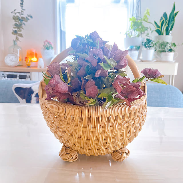 akiko-ovさんの部屋