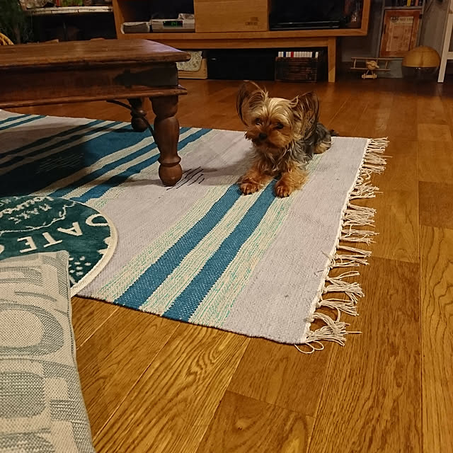 akiさんの実例写真