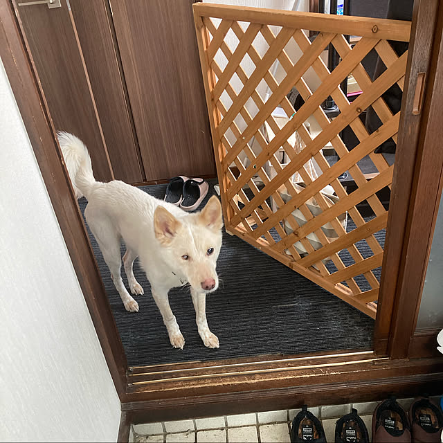 cheminさんの実例写真