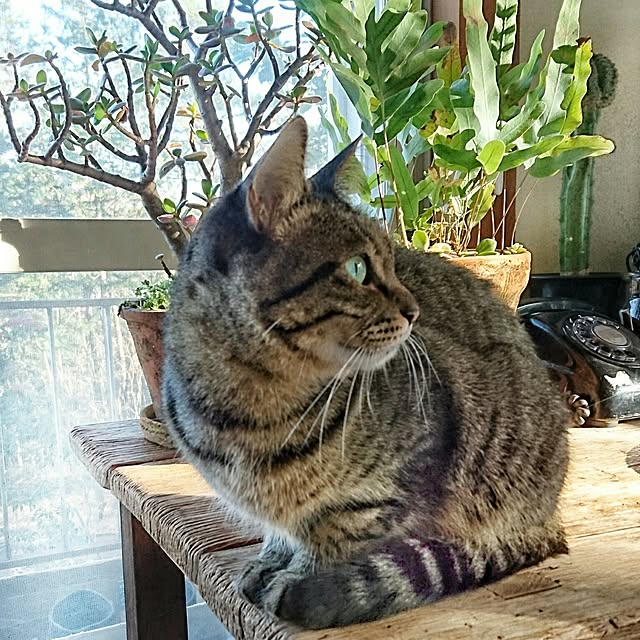 weさんの実例写真