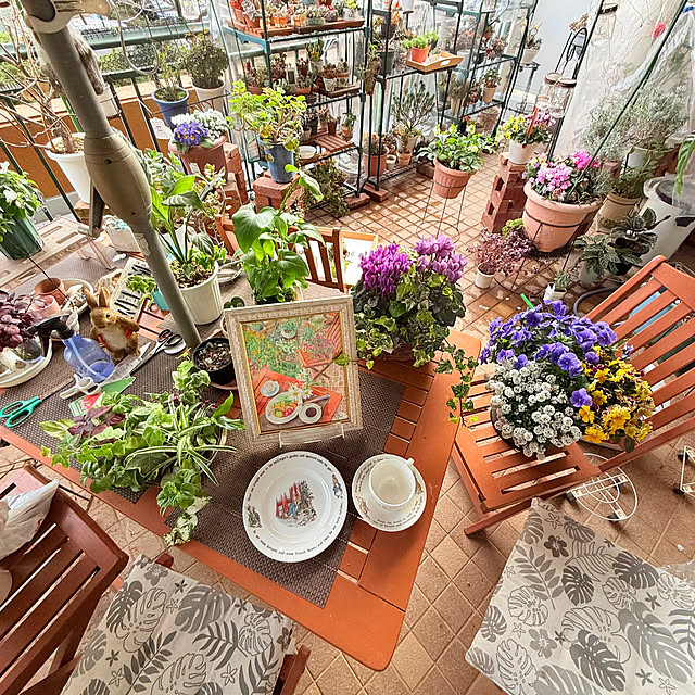 Aqettyさんの実例写真