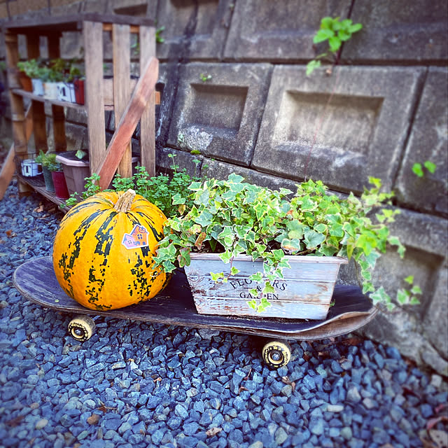 cactus0610さんの実例写真