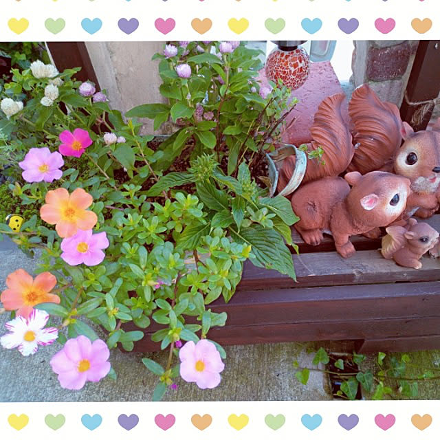 mocomocoさんの実例写真