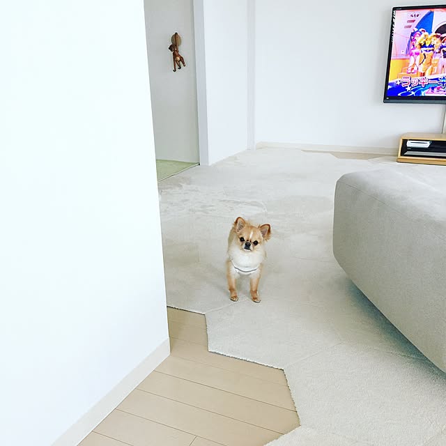 haruhinaさんの実例写真
