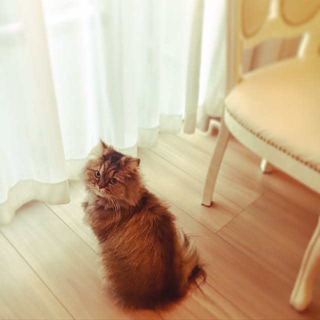 musicsukiさんの実例写真