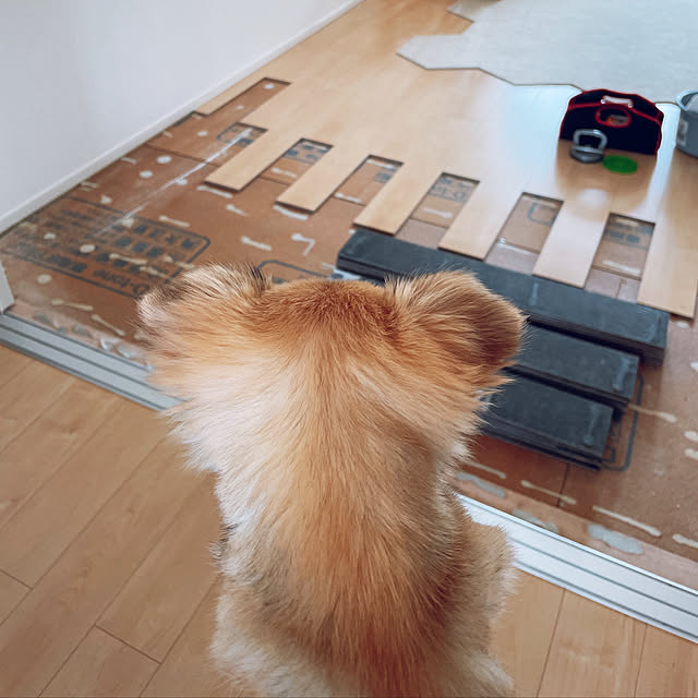 room...ronさんの実例写真