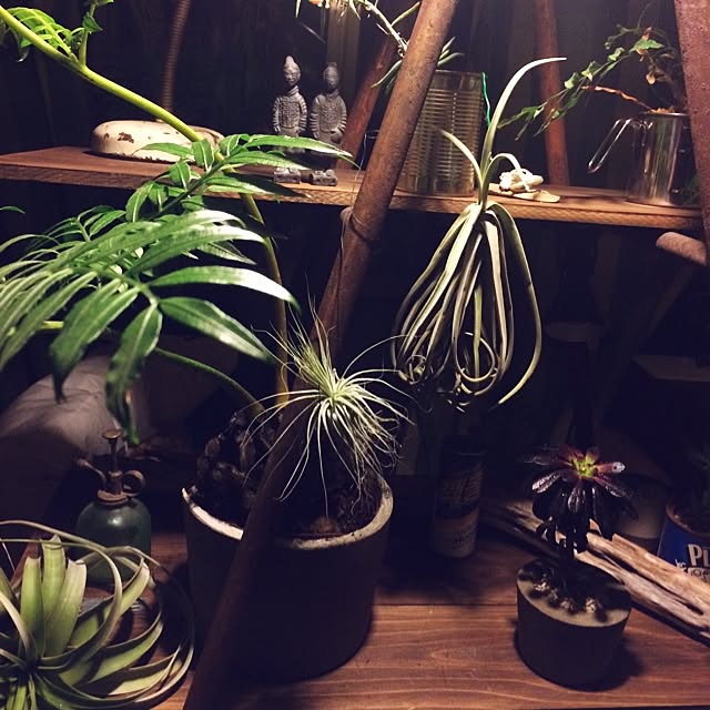 zutanさんの実例写真