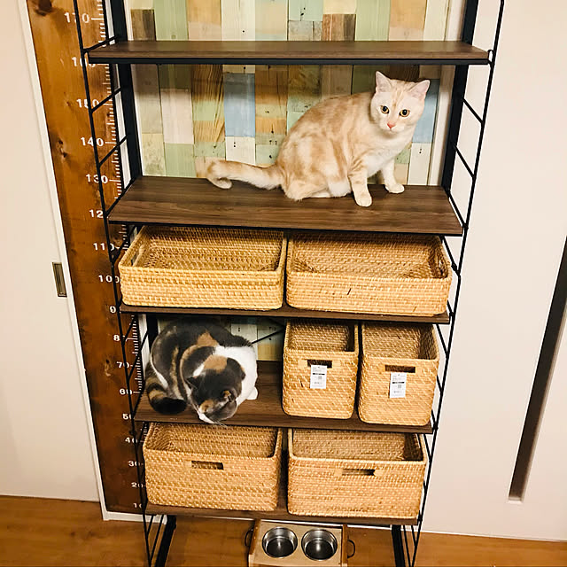 bambi_eyeさんの実例写真