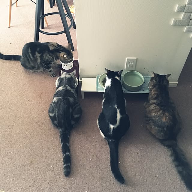 mikomaruさんの実例写真