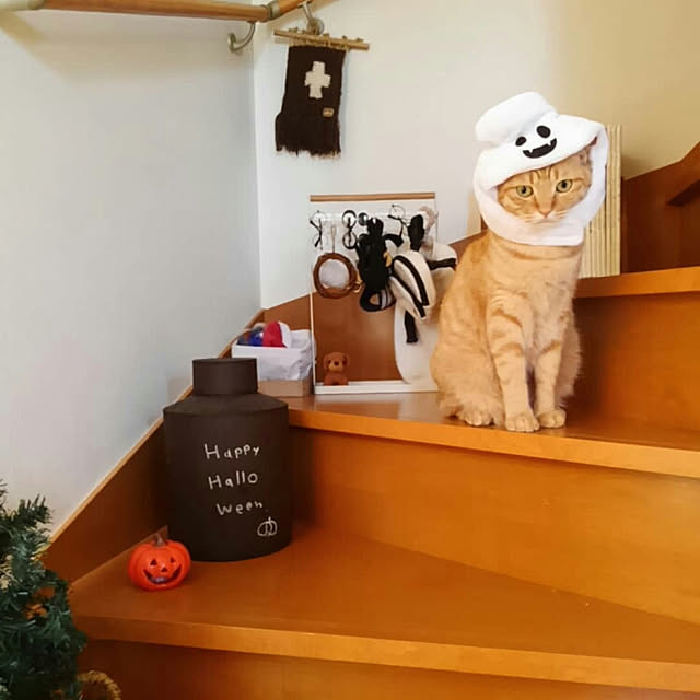 mayutan.さんの実例写真