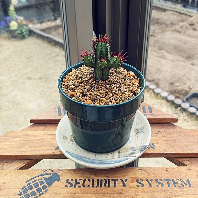 nippopoさんの実例写真