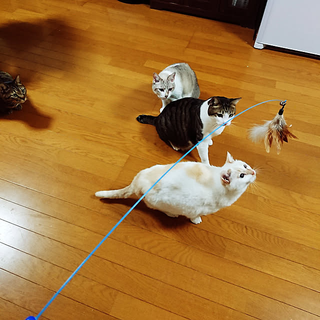 nachiさんの実例写真