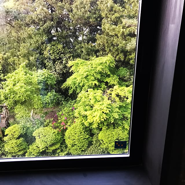 askarubyさんの実例写真