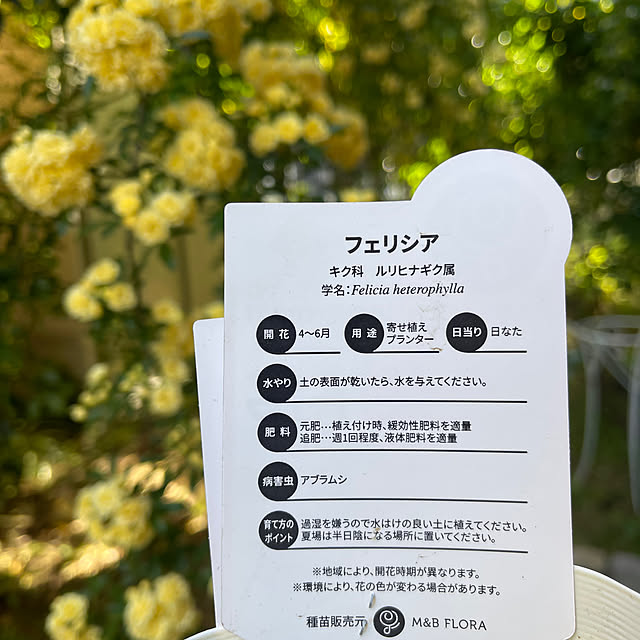 roserose555さんの部屋
