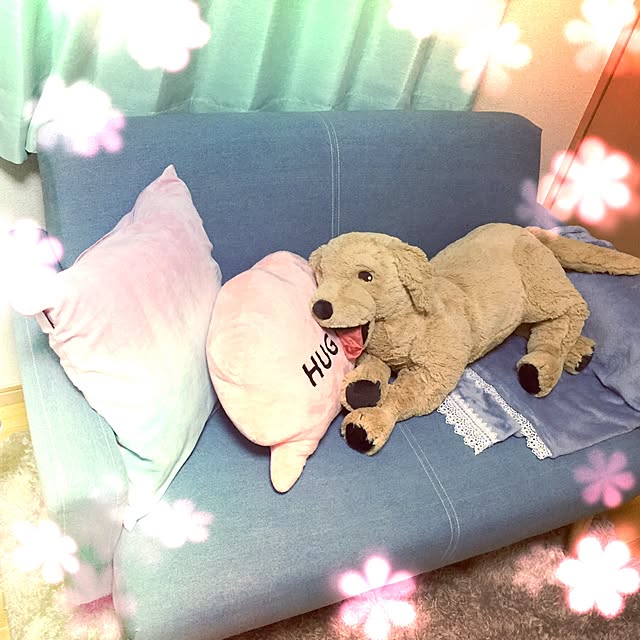 miyuchiru1226さんの実例写真
