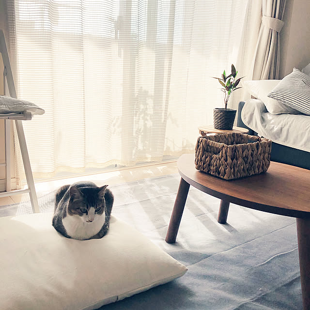 nekomiさんの実例写真