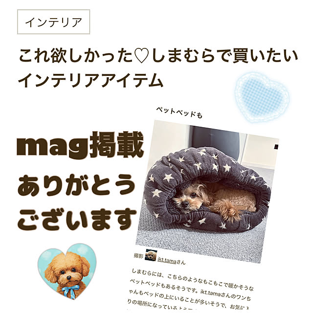 ikt.tamaさんの実例写真
