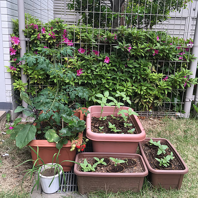 seiasaさんの実例写真