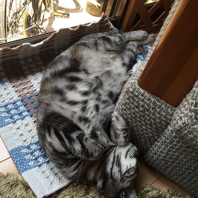 haruさんの実例写真