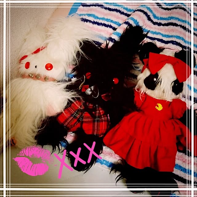 Misatoさんの実例写真