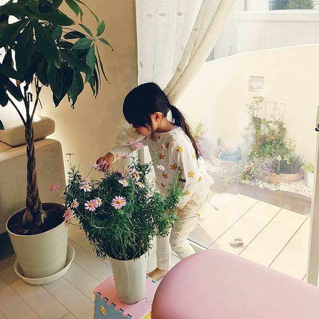 bucyakawaさんの実例写真