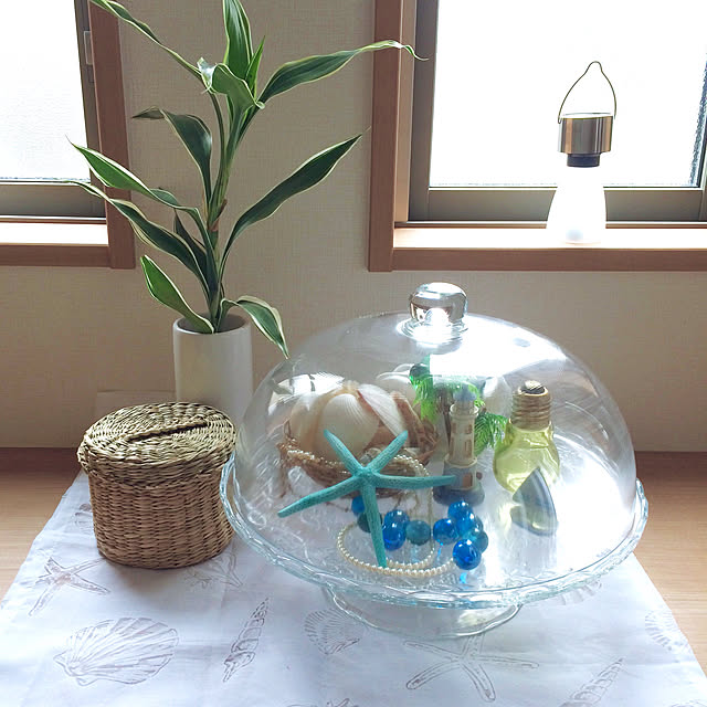 merutoさんの実例写真