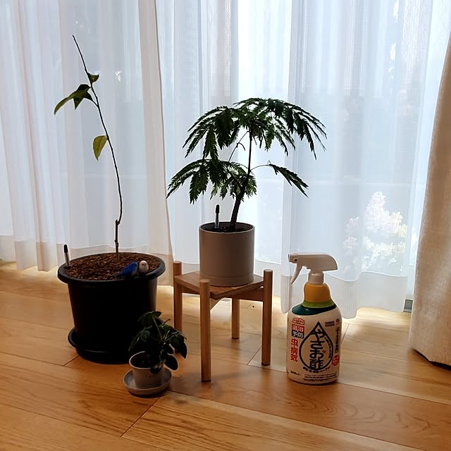 tokkiさんの実例写真