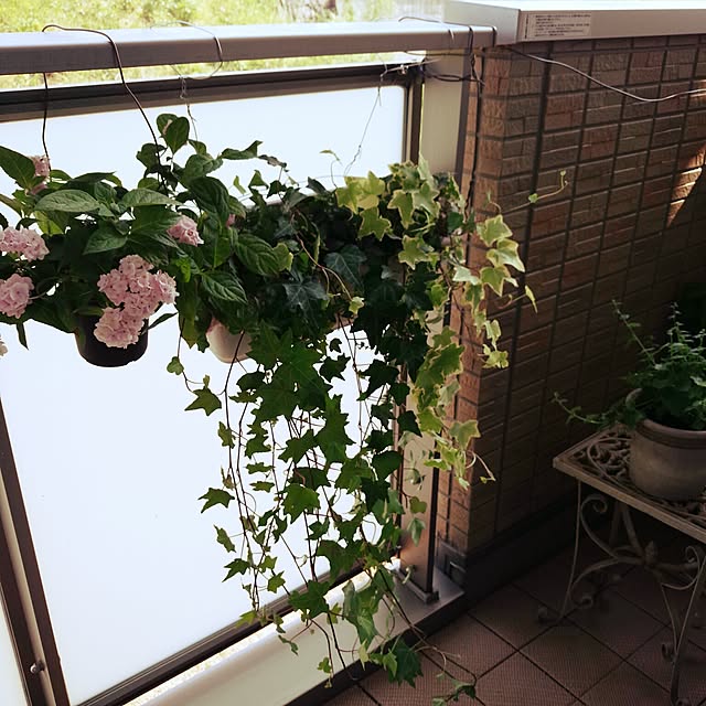 Mayumiさんの実例写真